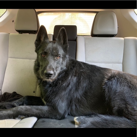 TOP Quality Items Only at Buy It Now Prices💃😎 - Picture 6 of 11